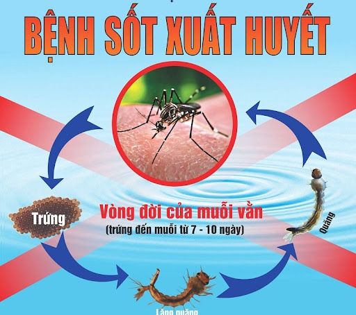 Phòng, chống dịch sốt xuất huyết